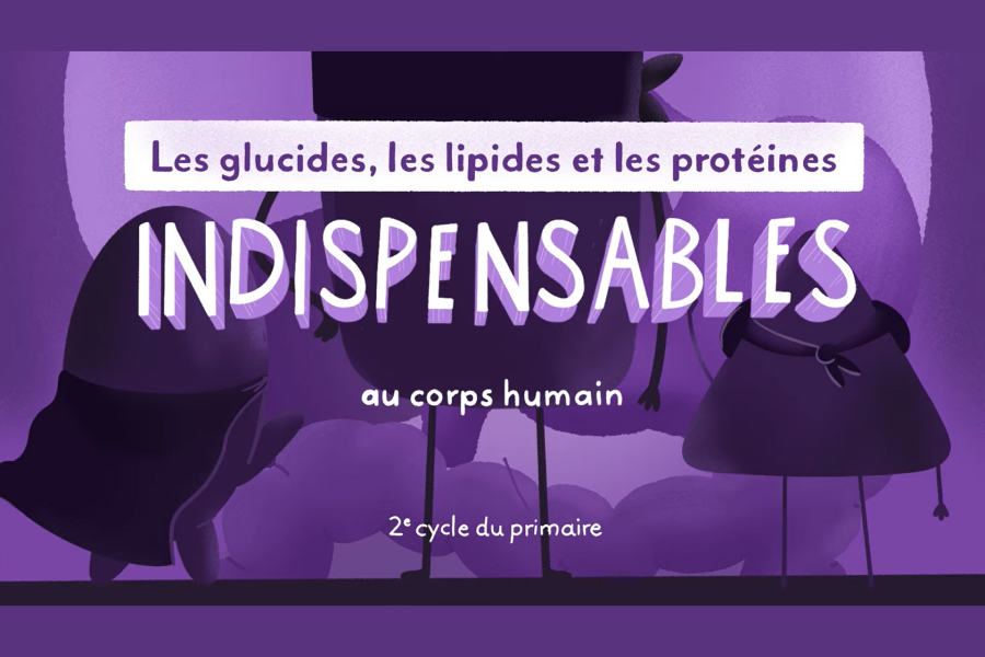 Les nutriments : indispensables au corps humain