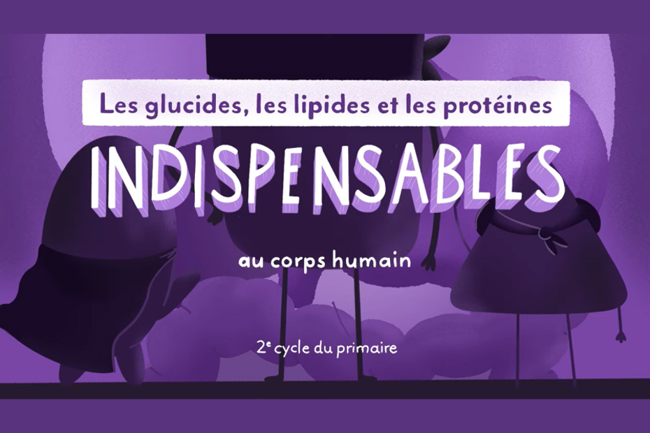 Les nutriments : indispensables au corps humain