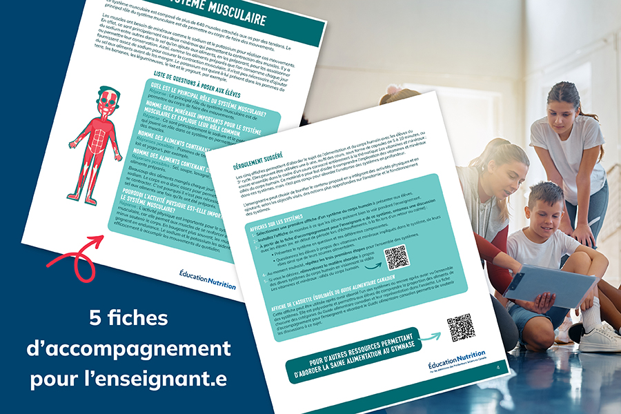 Affiches Les vitamines et minéraux : alliés du corps humain
